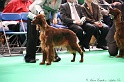 Crufts2011 622